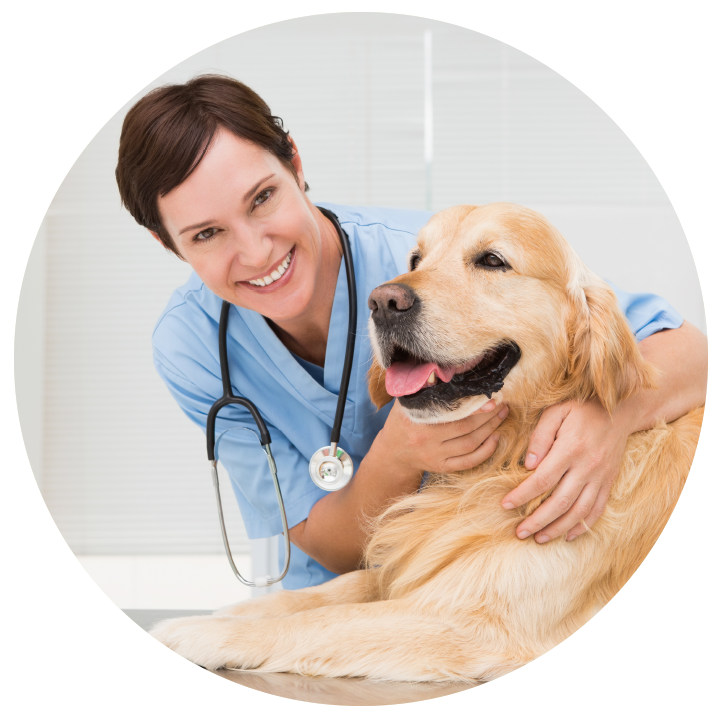 About Our Clinic Circle Image